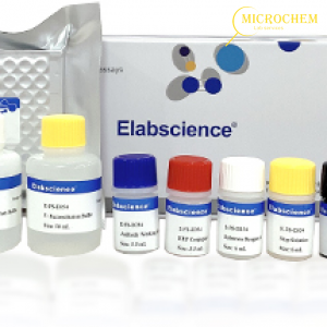 AMOZ (Nitrofuran Furaltadone) ELISA Kit (E-FS-E002) Elabscience®