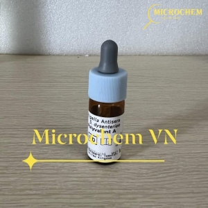 Kháng huyết thanh Shigella Deben