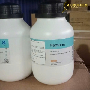 Môi trường Peptone Xilong 250g