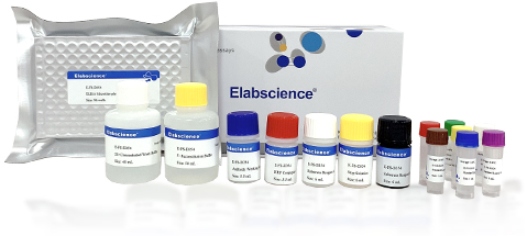 AMOZ (Nitrofuran Furaltadone) ELISA Kit (E-FS-E002) Elabscience®