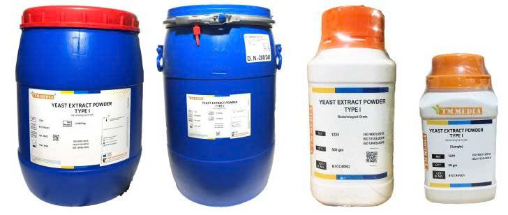 Môi trường cơ bản